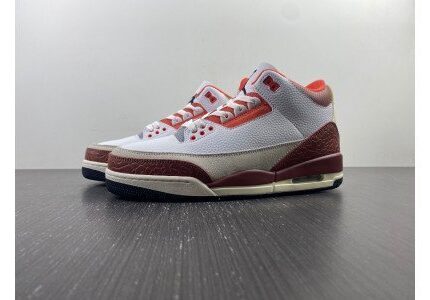 Air Jordan 3 SE Dunk on Mars